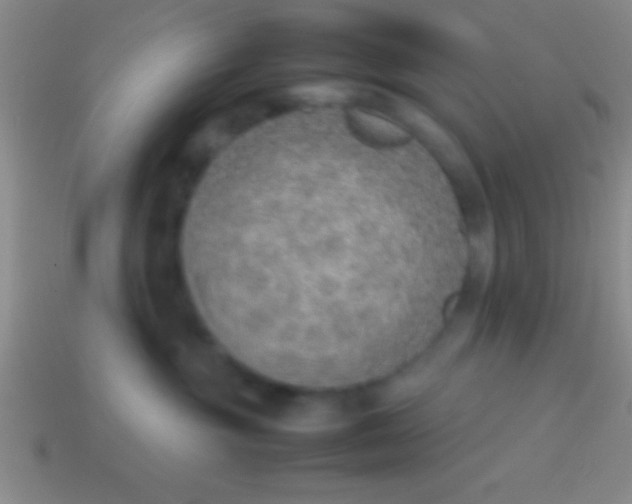 X0000114220381200910231448