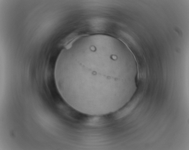 X0000114220382200910231448