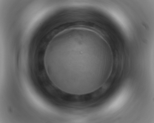 X0000114220383200910231448