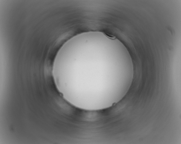 X0000114220384200910231448