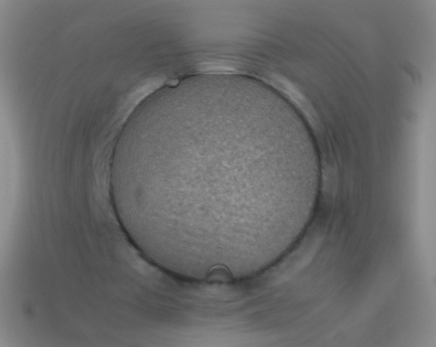 X0000114220385200910231447