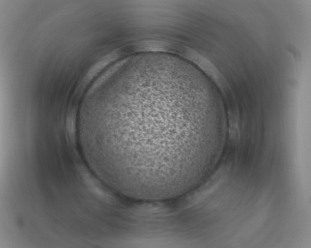 X0000114220386200910231447