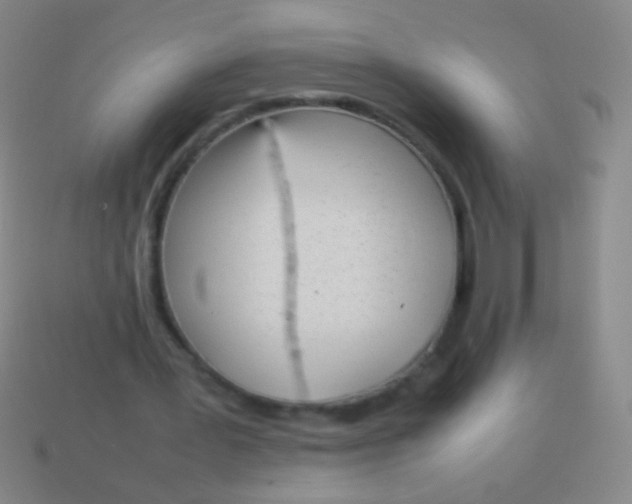 X0000114220387200910231447