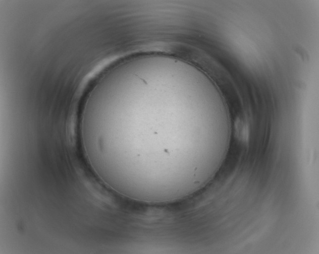 X0000114220388200910231447