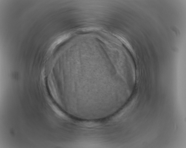 X0000114220389200910231447