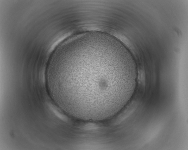 X0000114220390200910231447