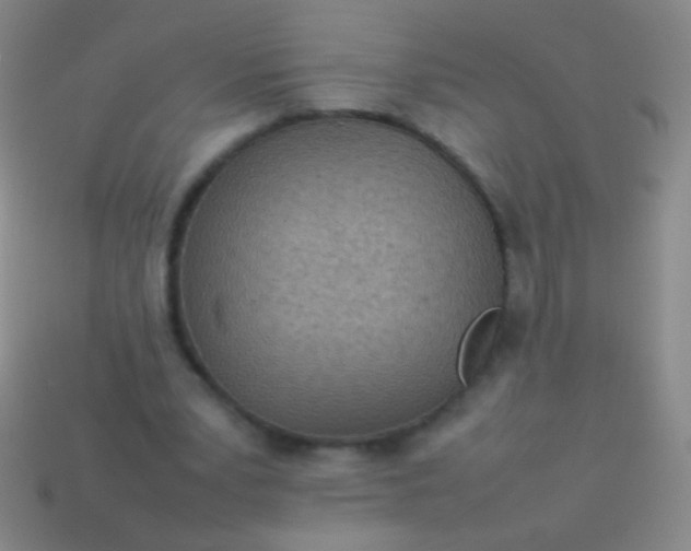 X0000114220391200910231447