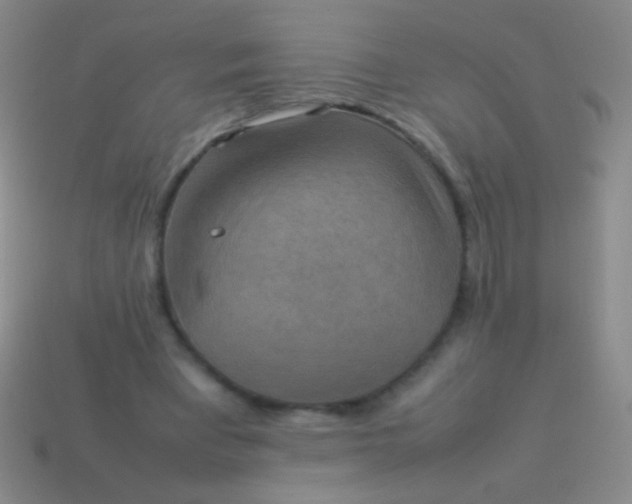 X0000114220393200910231447