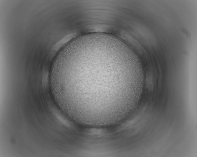 X0000114220394200910231447