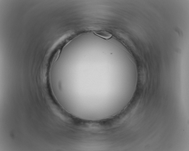 X0000114220395200910231447