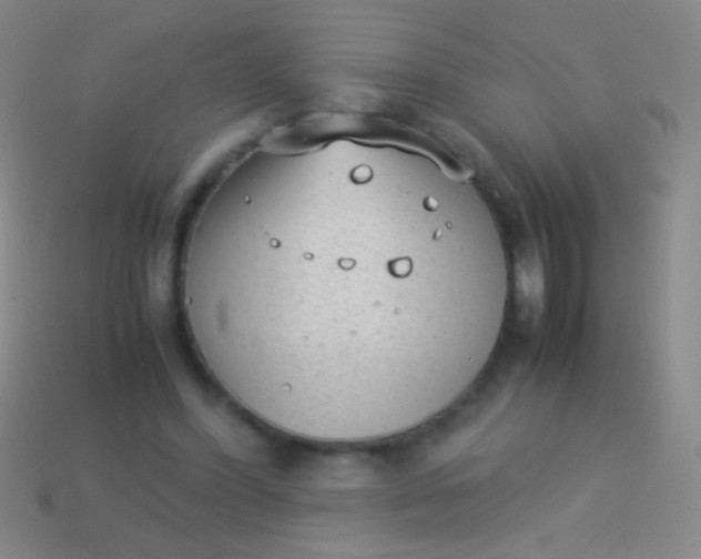 X0000114220396200910231447