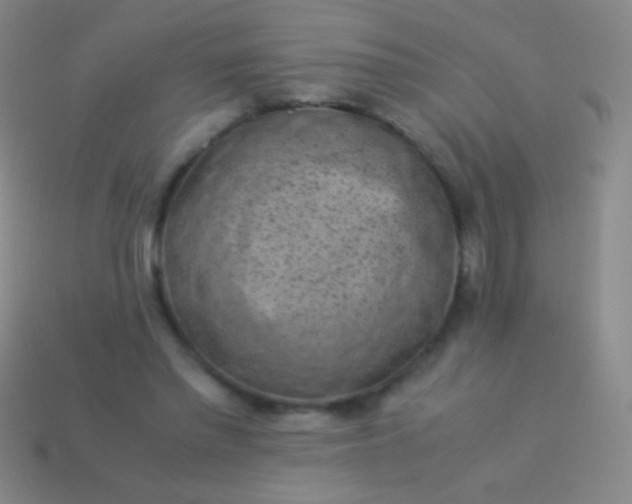 X0000114220397200910231447