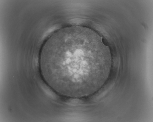 X0000114220399200910231447