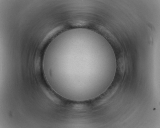 X0000114220400200910231447