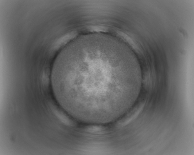 X0000114220402200910231447