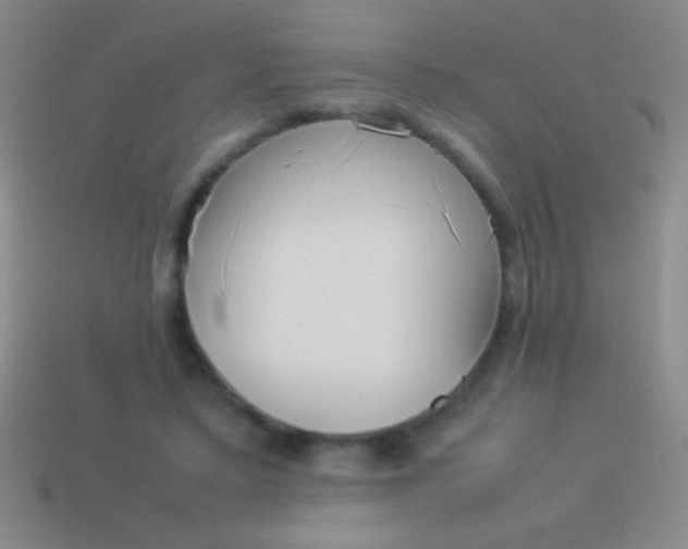 X0000114220403200910231447