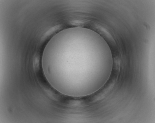 X0000114220404200910231447