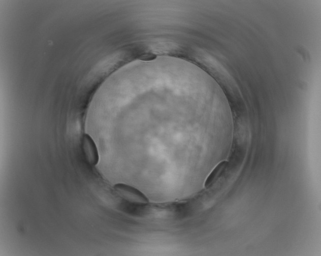 X0000114220405200910231447