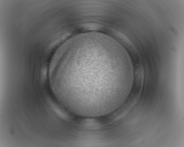 X0000114220406200910231447