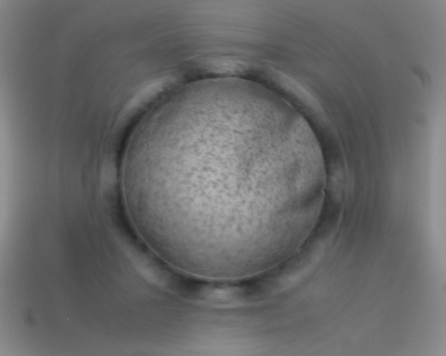 X0000114220407200910231447