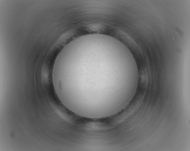 X0000114220408200910231447