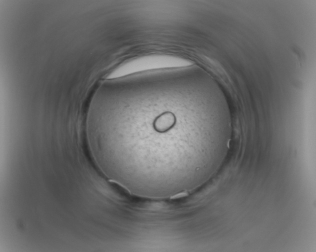 X0000114220409200910231447