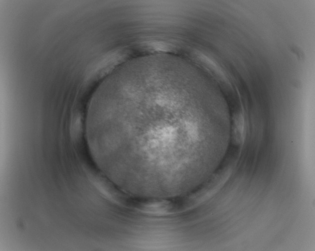 X0000114220410200910231447