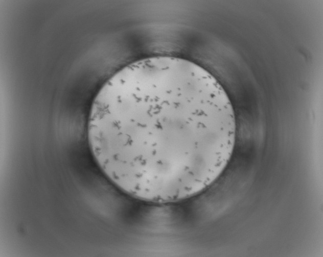 X0000114220411200910231447