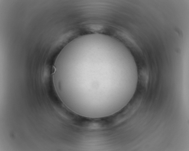 X0000114220412200910231447