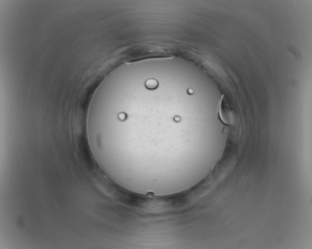 X0000114220413200910231447