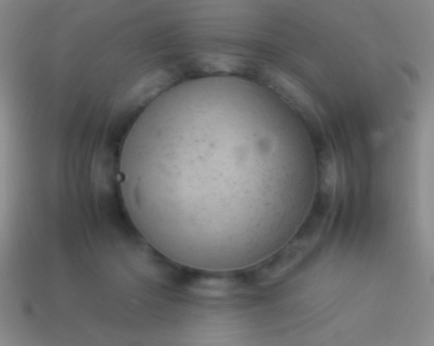 X0000114220414200910231447