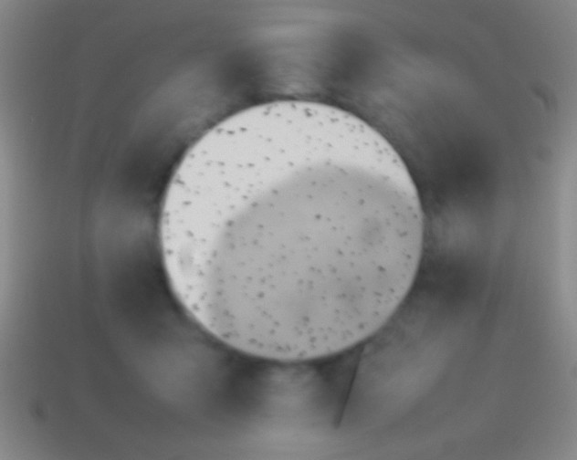 X0000114220415200910231447