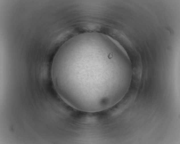 X0000114220416200910231447