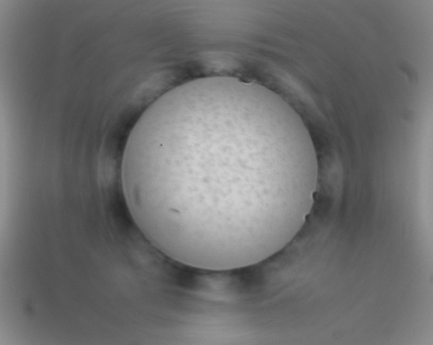 X0000114220417200910231447