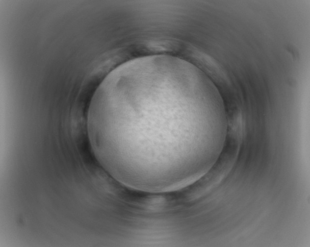 X0000114220418200910231447