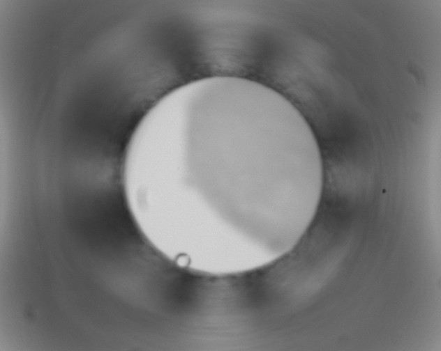 X0000114220419200910231447