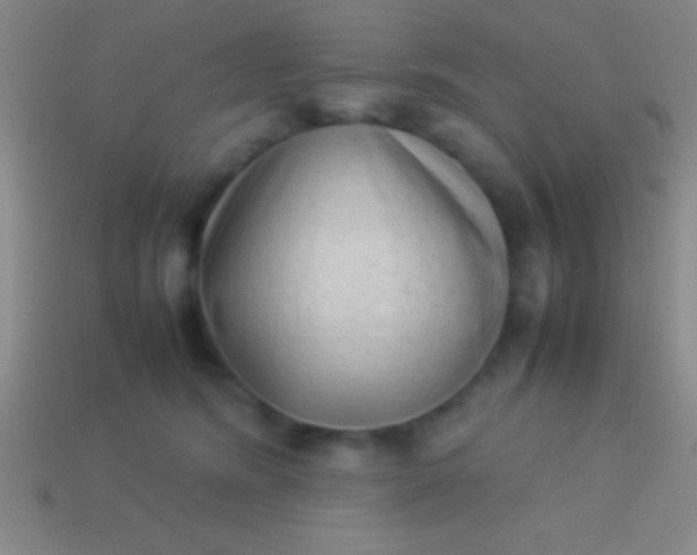 X0000114220420200910231447