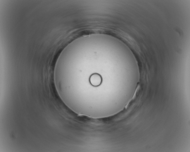 X0000114220421200910231447