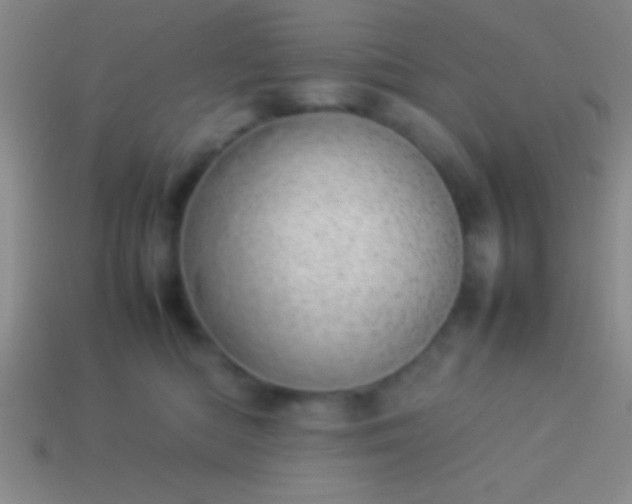 X0000114220422200910231447