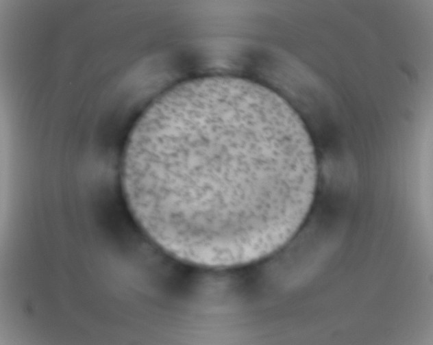 X0000114220423200910231447