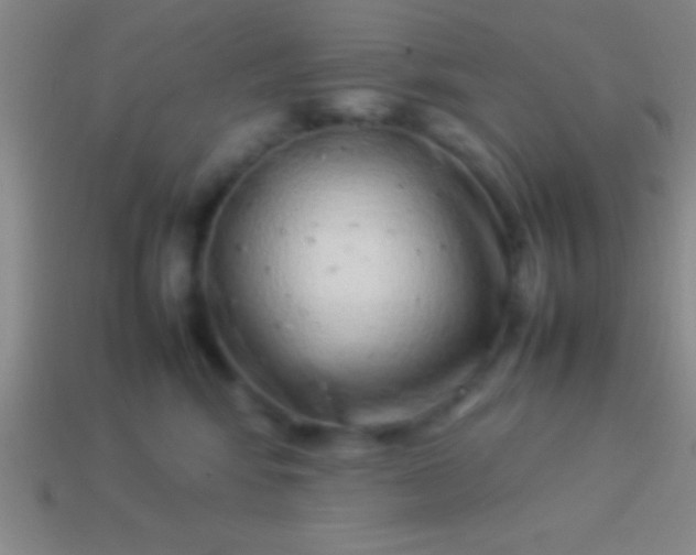 X0000114220424200910231447