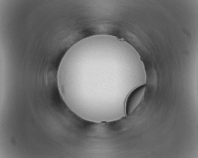 X0000114220425200910231447