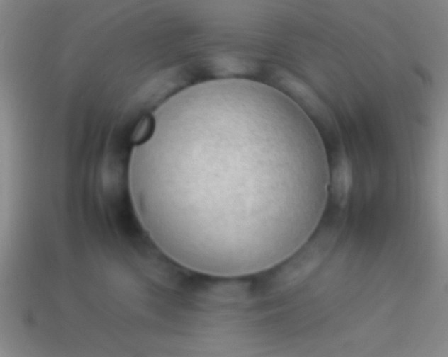 X0000114220426200910231447