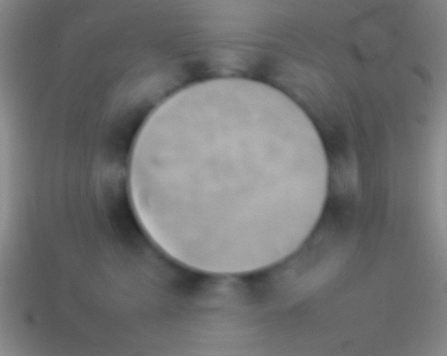 X0000114220427200910231447