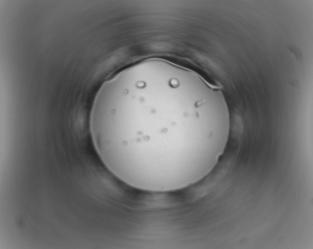 X0000114220428200910231447