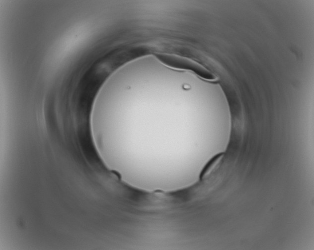 X0000114220429200910231447