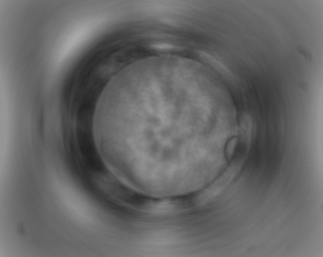 X0000114220430200910231447