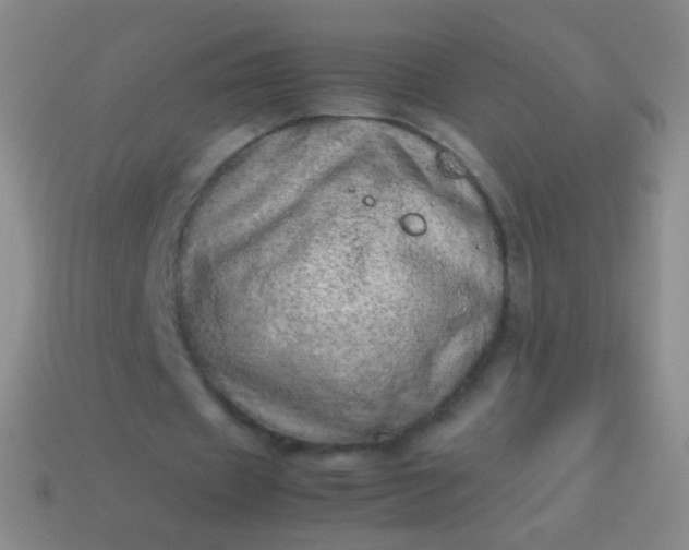 X0000114220433200910231446