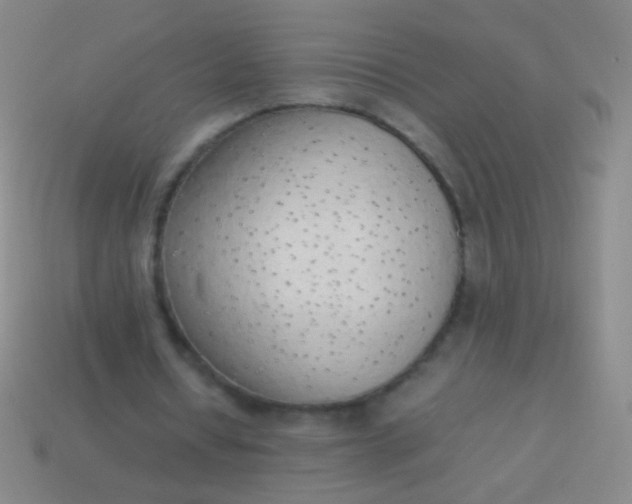 X0000114220434200910231446