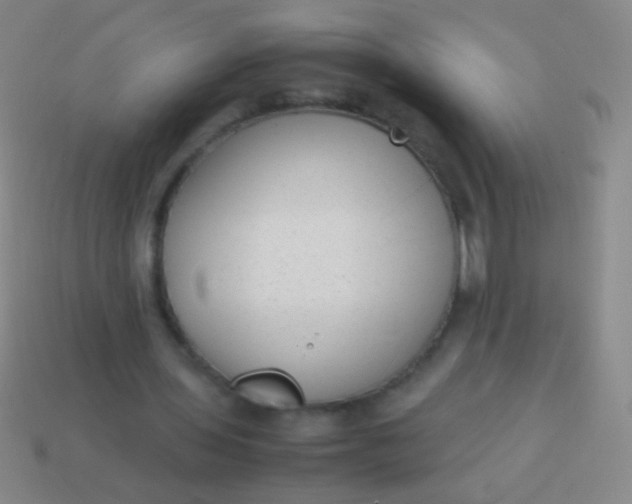 X0000114220435200910231446